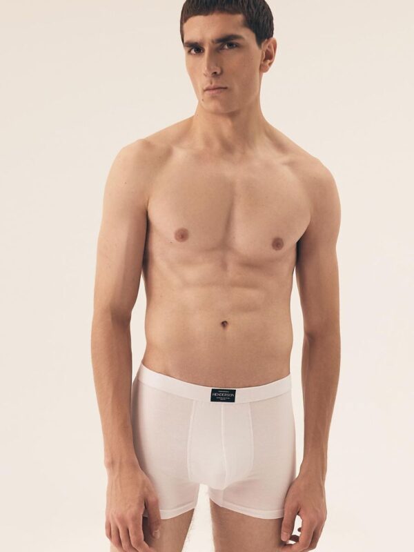 Set model Henderson