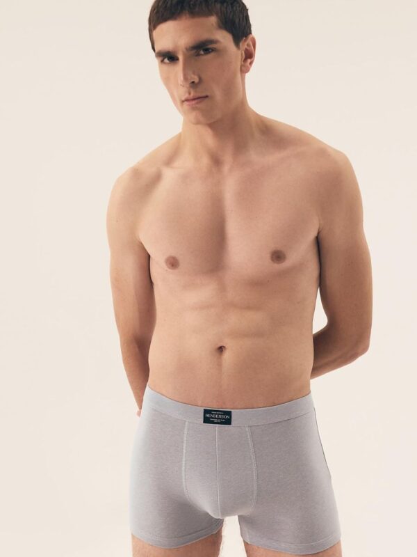 Set model Henderson