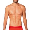 custom900x1200_1132369.jpg Boxers Obsessive