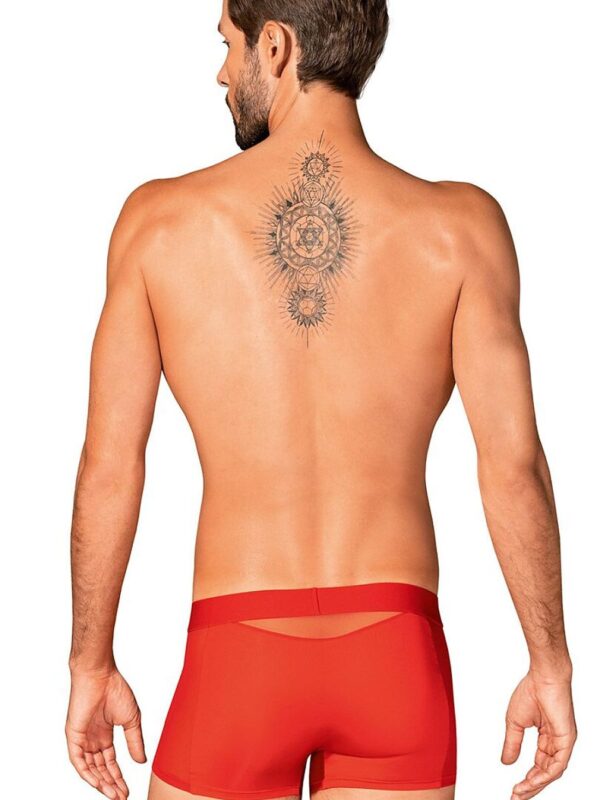 custom900x1200_1132371.jpg Boxers Obsessive