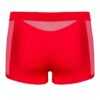 custom900x1200_1132372.jpg Boxers Obsessive
