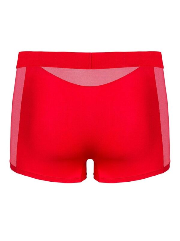 custom900x1200_1132372.jpg Boxers Obsessive