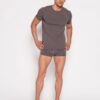 T-shirt Henderson Grey
