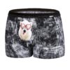 Boxers Cornette